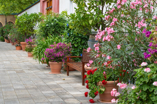 Pink oleander, magenta bougainvillea, and red geraniums spill from terracotta pots along a shaded garden walkway. Citrus trees and a wooden bench add to this lush Mediterranean courtyard scene.