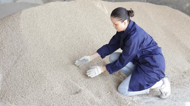 Asian woman farmer takes handful of granulated feed in palm of hand, checks purity and absence of impurities. Control over cleanliness of feed mixture. Staff farmer inspect feed in storage 