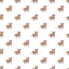 Obraz premium Abyssinian kittens creating a repeating animal wallpaper background