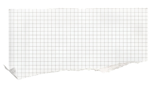 Torn graph paper scrap, ripped white grid notebook page, textured paper fragment with ragged edges on white background