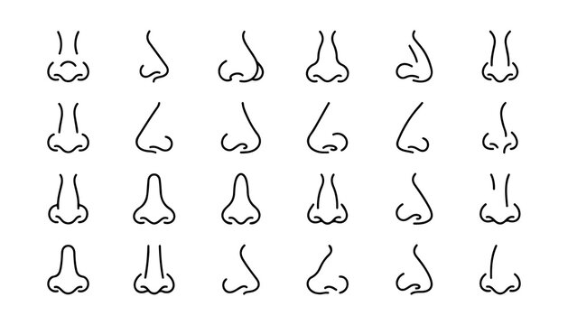 Nose Outline Icons Set in Black Line Art Style. Minimalist Facial Feature Design for Medical, Anatomy, or Graphic Use