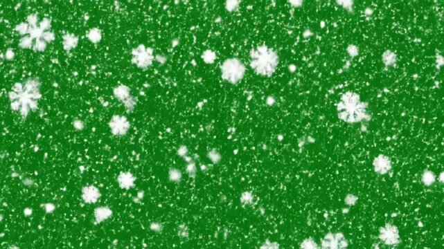 Falling White Snowflake Animation on Green Screen Background for Chroma Key