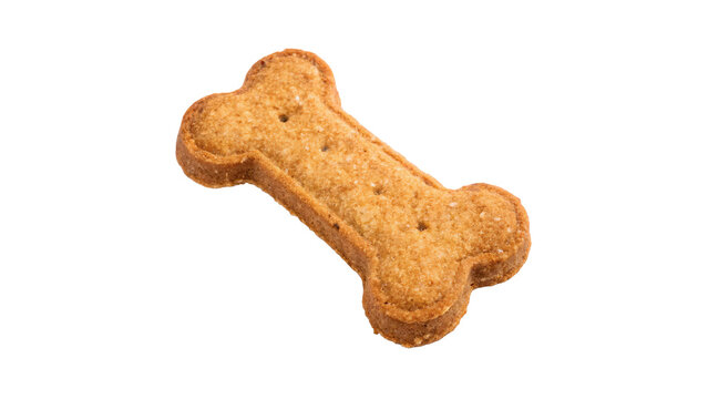 Crunchy brown bone shaped dog biscuit treat isolated on transparent background for pet shop food advertising.