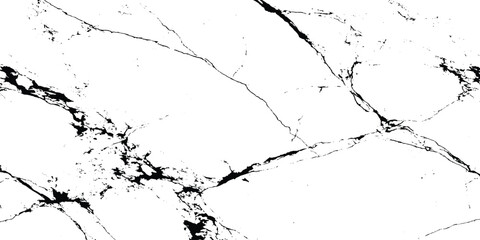 Fototapeta premium Black and white marble texture with jagged veins and cracks, abstract grunge stone pattern