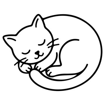 ilustration of a cat sleep png