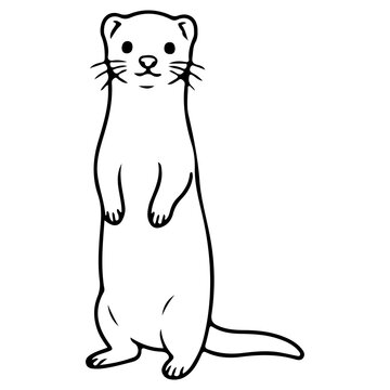 vector illustration of ferret standing