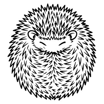 hedgehog