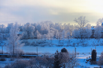 Naklejka premium Winter landscape. Trees and plants covered with snow. The beauty of snow covered paths. Snowfall and cooling in tourist areas.
