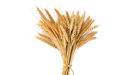 Obraz premium Bunch of dry golden wheat ears stalks isolated on transparent background for traditional agricultural harvest baking.