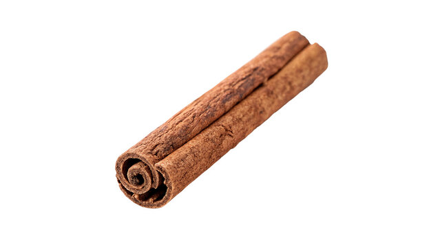Single brown cinnamon stick aromatic spice bark isolated on transparent background for winter bakery pastry recipes.