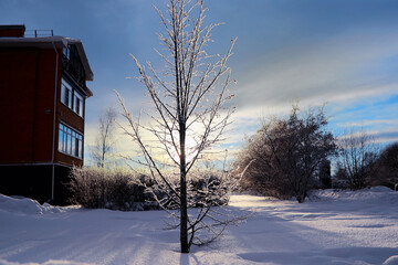 Naklejka premium Winter landscape. Trees and plants covered with snow. The beauty of snow covered paths. Snowfall and cooling in tourist areas.