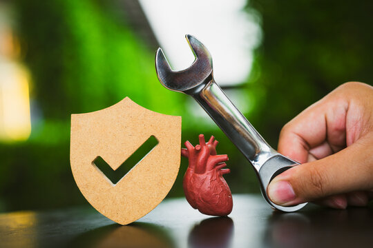 Heart health insurance and medical maintenance concept with wooden shield, anatomical organ model and wrench for cardiology checkup, cardiovascular protection and surgery healthcare.