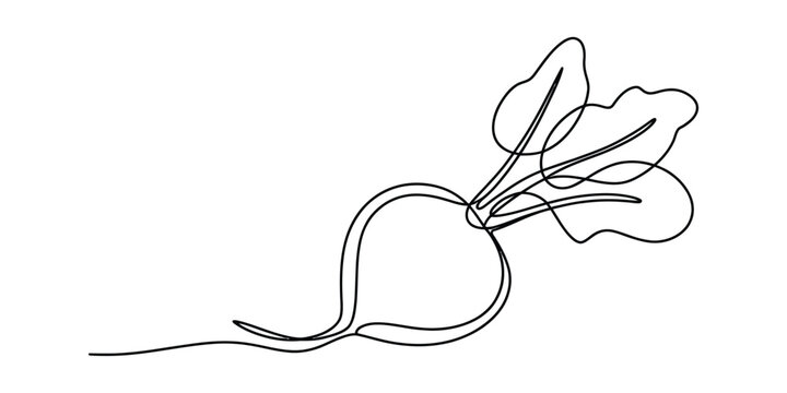 Continuous single line drawing of a fresh beet vegetable with green leaves