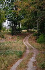 Vertical view of a winding gravel road leading from open grassland into a deciduous forest in the Bükk Mountains, Hungary. © Tibor