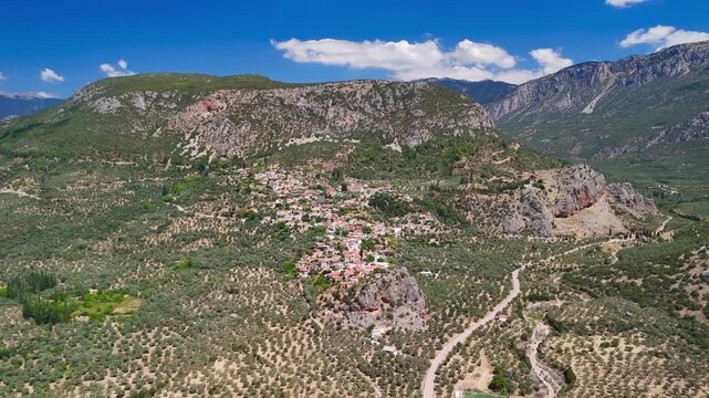 Aerial perspective of the vast traditional olive grove of amfissa, sterea ellada, greece