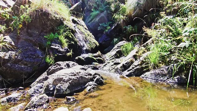 water flowing into the river
