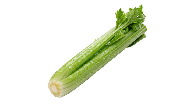 Fresh green celery stalk whole raw vegetable isolated on transparent background for healthy organic diet smoothies.