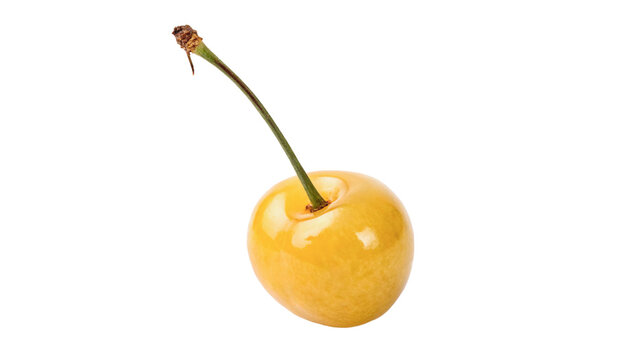 Single fresh yellow cherry with green stem isolated on transparent background for exotic summer berry desserts.