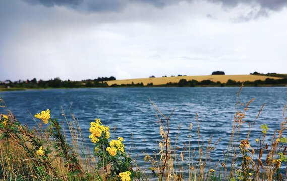 Water surface. The texture of the water. Waves on the lake in windy weather.