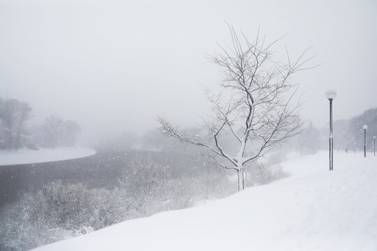 Serene Winter Landscape: Snow-Covered Park with Bare Trees and Lampposts along a Misty Riverbank