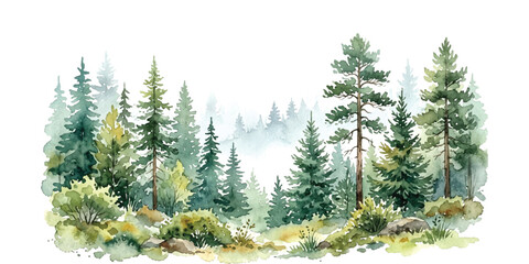 Watercolor illustration of a pine forest with green evergreen trees and misty mountains in background © Elite Art