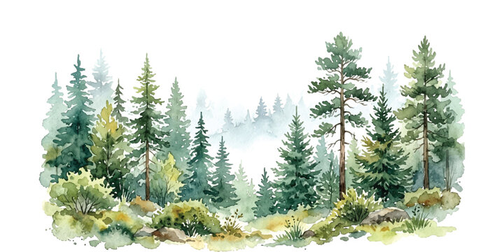 Watercolor illustration of a pine forest with green evergreen trees and misty mountains in background