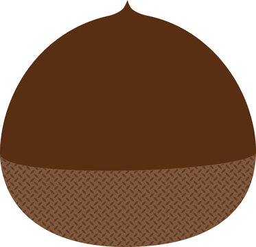Chestnut illustration representing autumn atmosphere