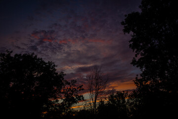 Fototapeta premium Moody sunset sky with colorful clouds above dark tree silhouettes