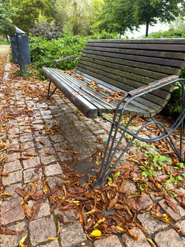 Autumn Park Bench Surrounded by Fallen Leaves &ndash; Peaceful Seasonal Outdoor Scene