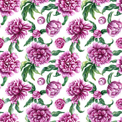 Fototapeta premium Seamless pattern with pink peonies. A hand drawn watercolor illustration. Ideal for textiles, tablecloths and curtains, wallpaper, covers, wrapping paper, prints, and much more.