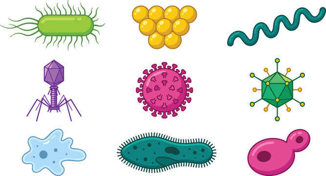 Microbiology Vector Icon Set with Bacteria Viruses Bacteriophage Cell Structures and Germs for Science Designs