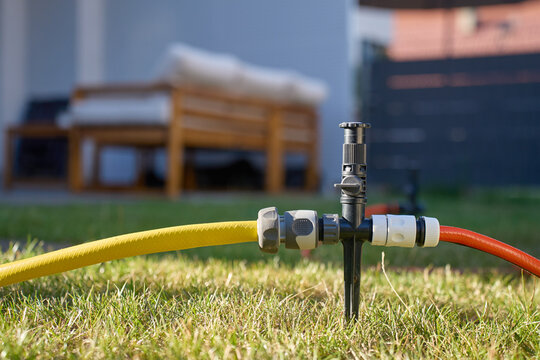 Garden sprinkler connected to hoses on green lawn in backyard