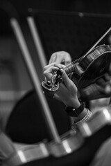  Hands of a violinist playing in an orchestra in black and white © furtseff