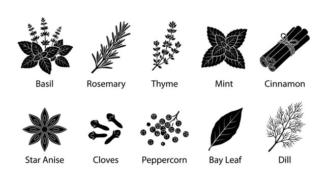 Herbs and spices icon set vector cooking seasoning flat black collection