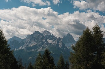 Obraz premium Rugged Mountain Peaks Behind Forest Silhouette