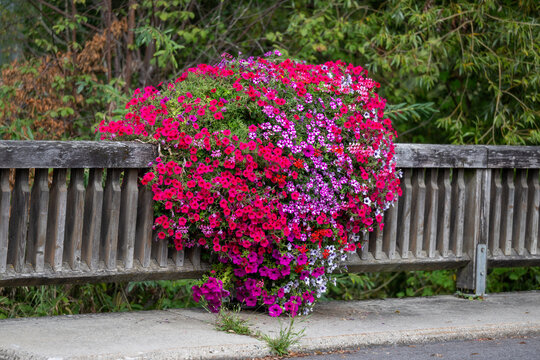 Colorful floral decorations on a bridge railing