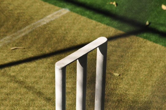cricket stump