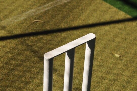cricket stump