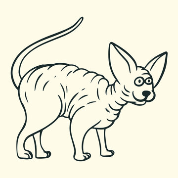 Cute hairless sphynx cat with big ears and wrinkled body, hand drawn black and white vector line art.