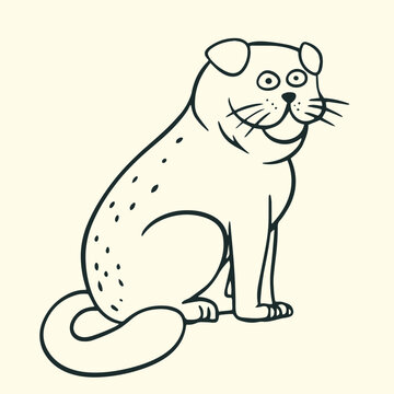 Cute Scottish fold cat sitting, hand drawn black and white vector line art illustration.