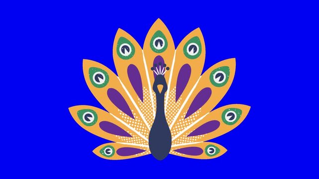 Three stylized peacock illustrations with colorful feathered tails arranged horizontally against a solid blue background with showcasing simple geometric design elements vector illustrations peacocks