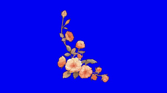 Three identical floral corner illustrations featuring peach colored roses arranged on a bright blue background with digital illustrations blossoming displays three repeated