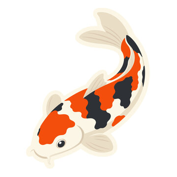 koi fish vector