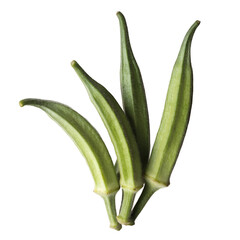 Fototapeta premium fresh okra isolated on solid white background-