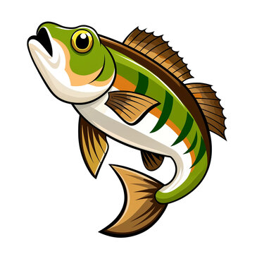 fish illustration 