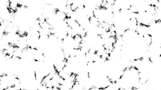Patterns appear in black and white on a smooth surface. Looping video clip. Light shines through, showing the details and textures. This happens during the daytime, creating interesting visuals.
