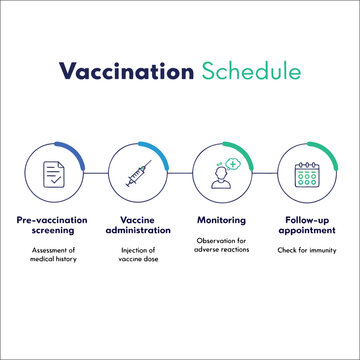 Vaccination schedule infographic timeline showing immunization stages and medical process.