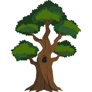 Tree Illustration