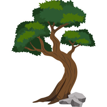 Tree Illustration