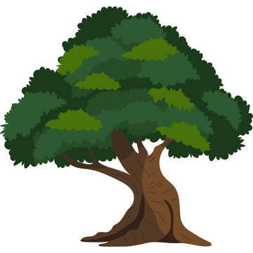 Tree Illustration